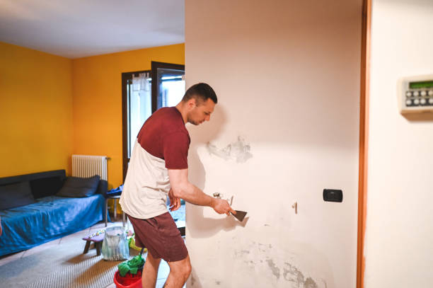 Best Residential Mold Removal  in Friona, TX